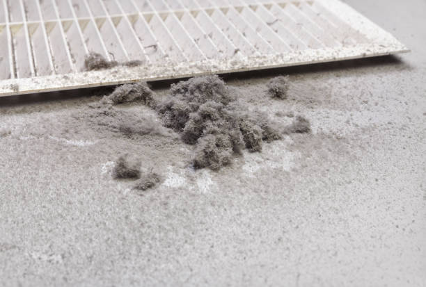 Best Commercial Air Duct Cleaning  in Veedersburg, IN