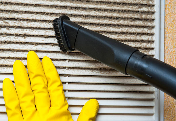Best Affordable Duct Cleaning Services  in Veedersburg, IN